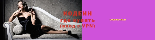прущие грибы Рославль