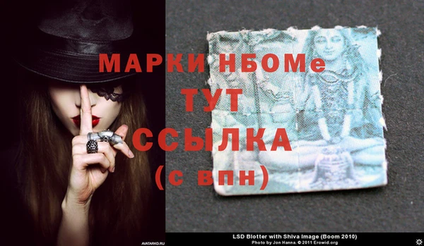 прущие грибы Рославль