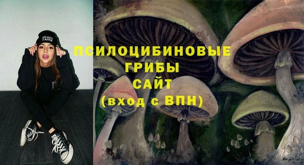 mdpv Балахна
