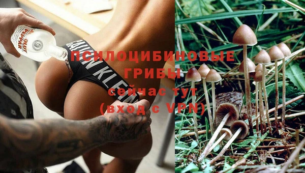 mdpv Балахна