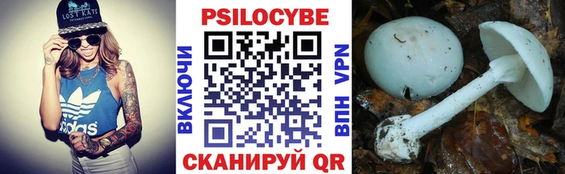 Псилоцибиновые грибы прущие грибы Спасск-Дальний