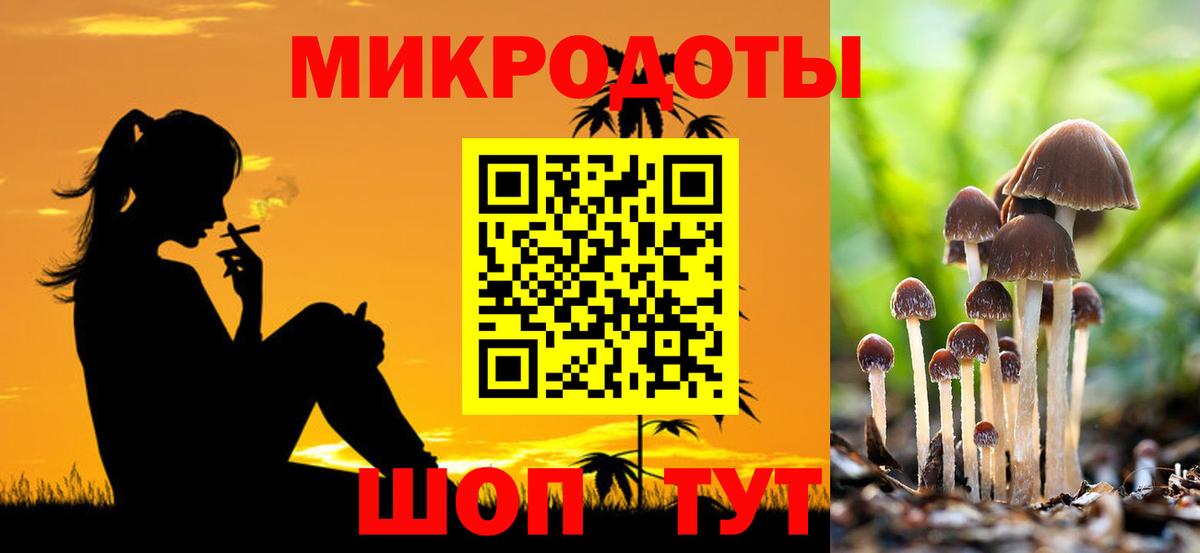 Псилоцибиновые грибы GOLDEN TEACHER Спасск-Дальний