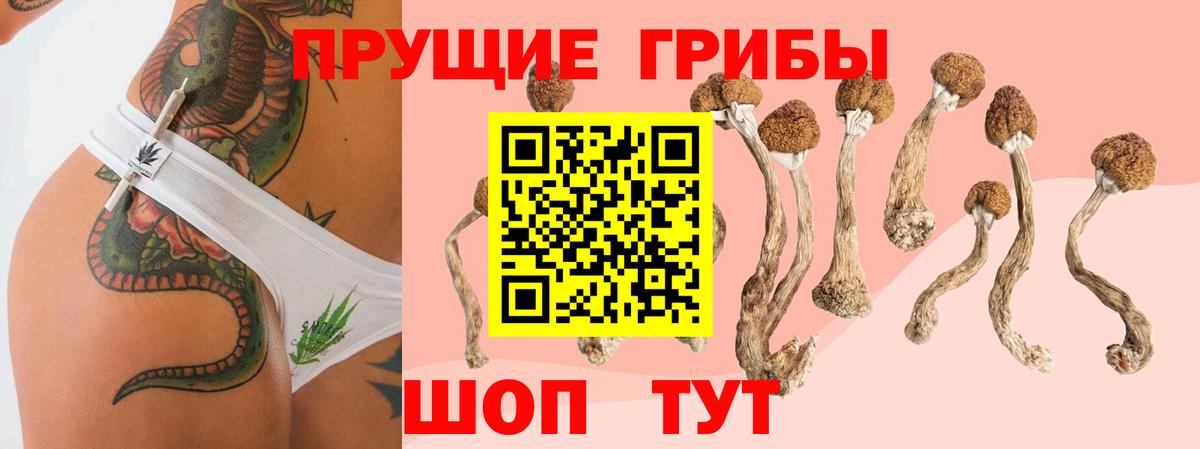Спасск-Дальний  продажа наркотиков  Галлюциногенные грибы ЛСД  Вход с VPN  Псилоцибиновые грибы Magic Shrooms 